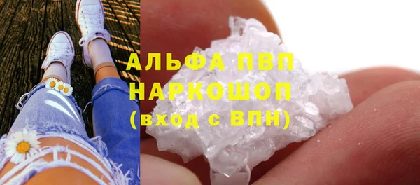 ECSTASY Гусев