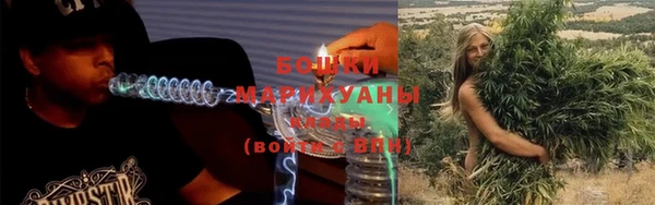 гидра Гусь-Хрустальный