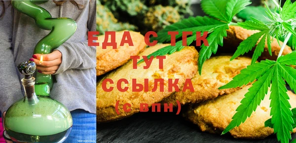 гидра Гусь-Хрустальный