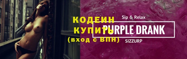 дживик Пересвет