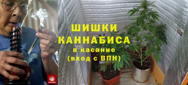 гидра Гусь-Хрустальный