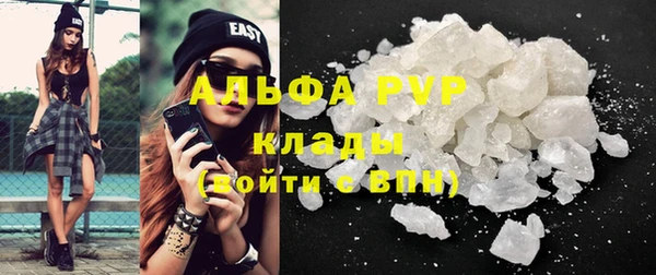 ECSTASY Гусев