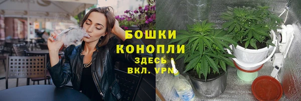ECSTASY Гусев