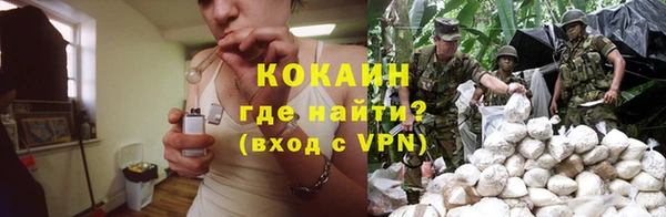 гидра Гусь-Хрустальный