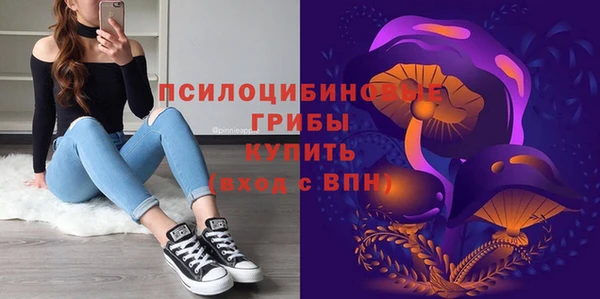 ALPHA-PVP Гусиноозёрск
