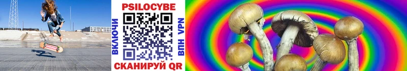 Псилоцибиновые грибы ЛСД  blacksprut   маркетплейс как зайти  Заречный 