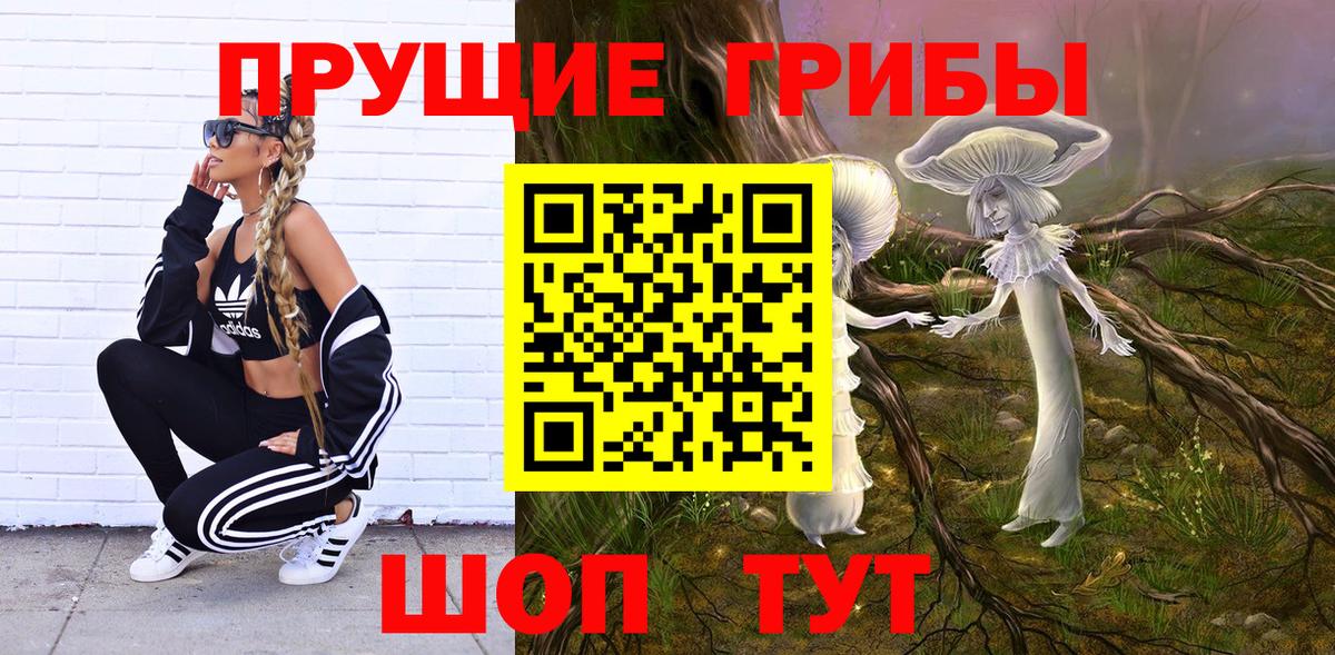 Заречный  Галлюциногенные грибы мицелий  Вход с VPN  Псилоцибиновые грибы Psilocybe 