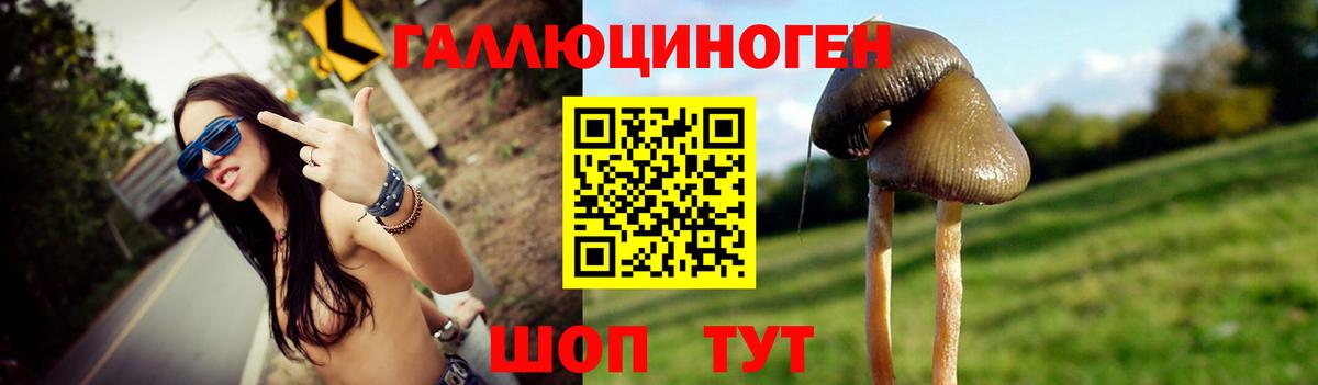 Псилоцибиновые грибы мицелий Заречный